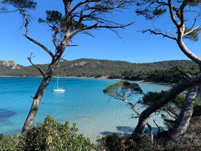 Exceptional Day on a Catamaran – Lérins Islands & French Riviera