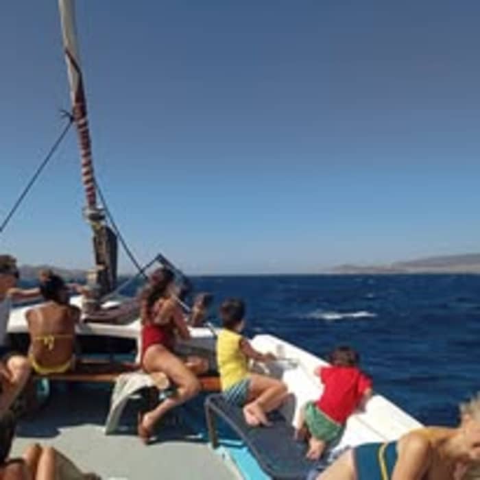 Crucero por la costa sur de Koufonisia y Naxos (9,5 horas)