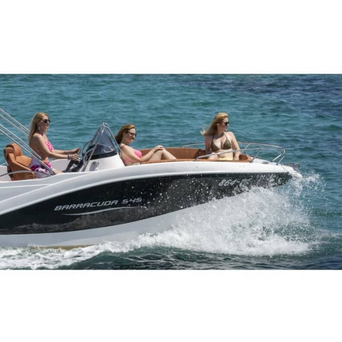 Prenez une demi-journée pour vous détendre sur un bateau à moteur à Santander.