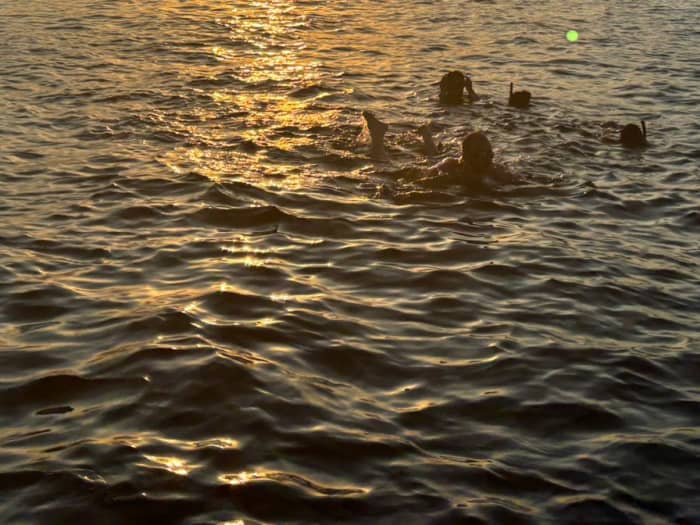 Découvrez les rivages de Porto-Vecchio : une excursion d'une journée complète à bord d'un bateau à moteur
