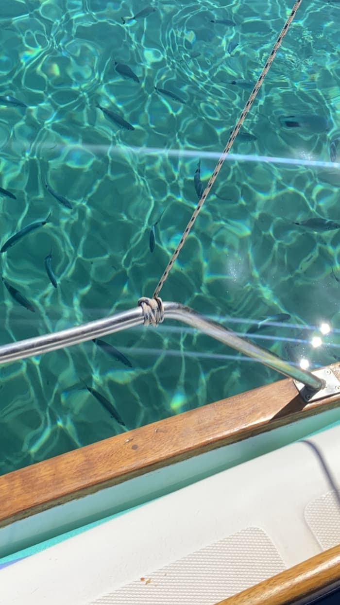 Ontdek de ziel van Noord-Ibiza aan boord van een authentieke traditionele Llaut.