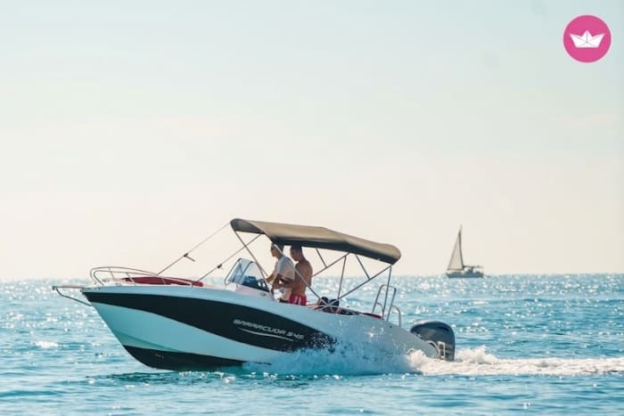 Cruise with dolphin tracking for up to 5 guests