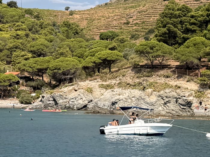 A whole day of magic in Canet-en-Roussillon on a motorboat