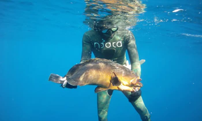 Excursion de chasse sous-marine