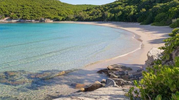 Port-Cros & Porquerolles, the Wild Golden Islands from Saint-Tropez