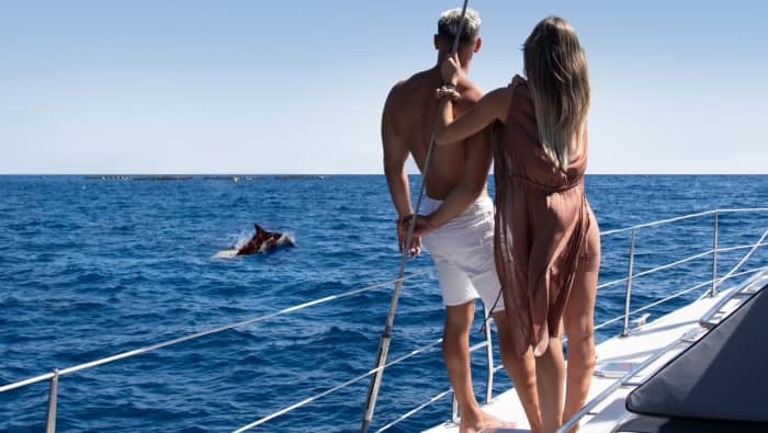 Excursion privée de 8 heures en voilier à Costa Adeje