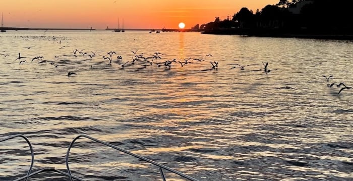 Rilassatevi su uno yacht per un tour di 2 ore della magnifica città di Porto.
