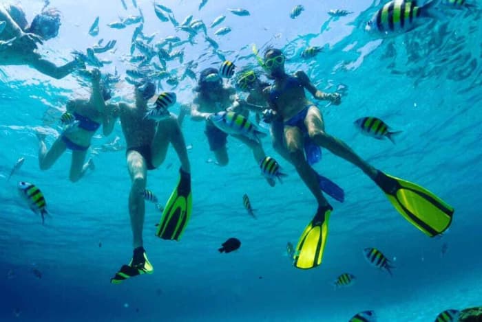 Explore Punta Cana and enjoy a full day of sailing on a catamaran