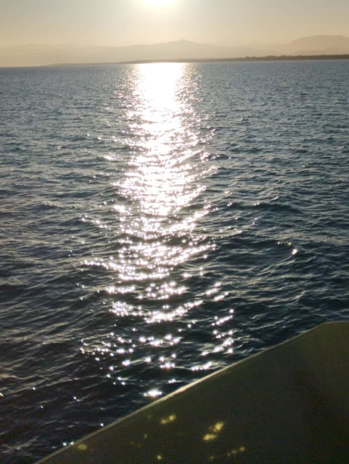 Njut av solen och havet med en 9-timmars båttur till de pittoreska kusterna i Basilicata och Kalabrien, med avgång från hamnen i Policoro (Matera).