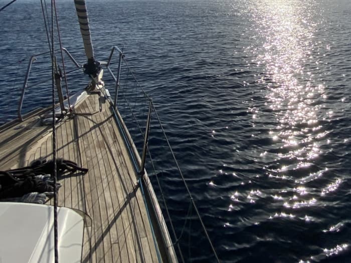 Full-day sailing experience in Funchal