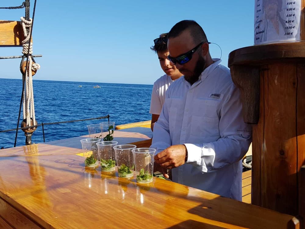 Escapade côtière d'une journée complète au départ de Palamós 6