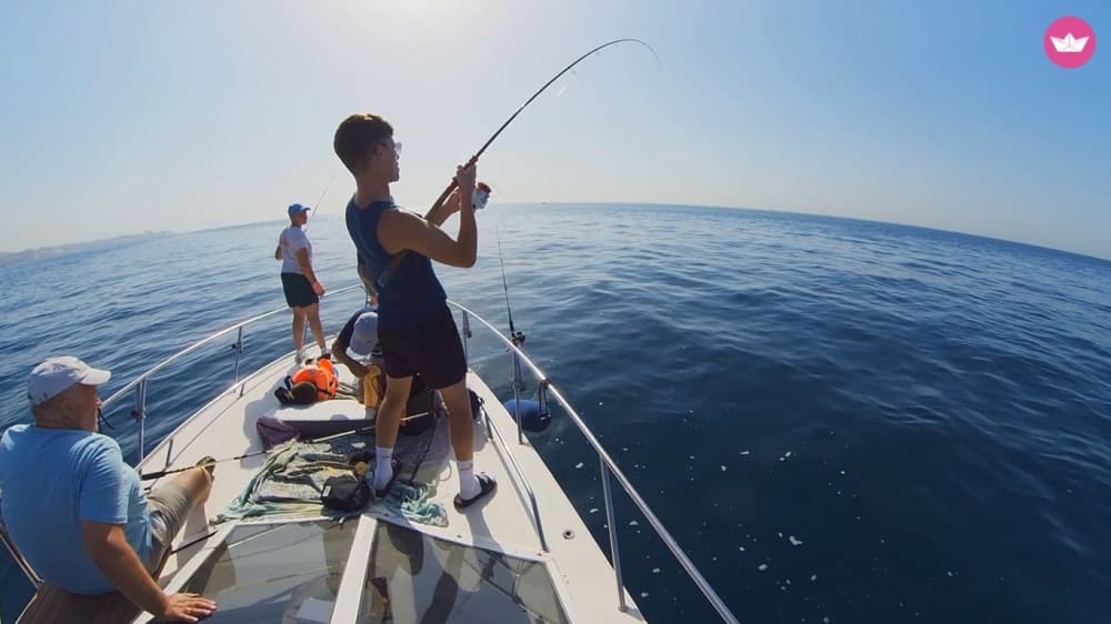 Excursion d'observation des dauphins à Fuengirola (2 heures) 6