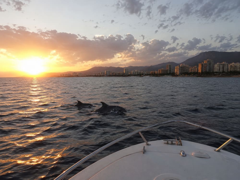 Location de yacht de 6 heures avec capitaine à Fuengirola 2