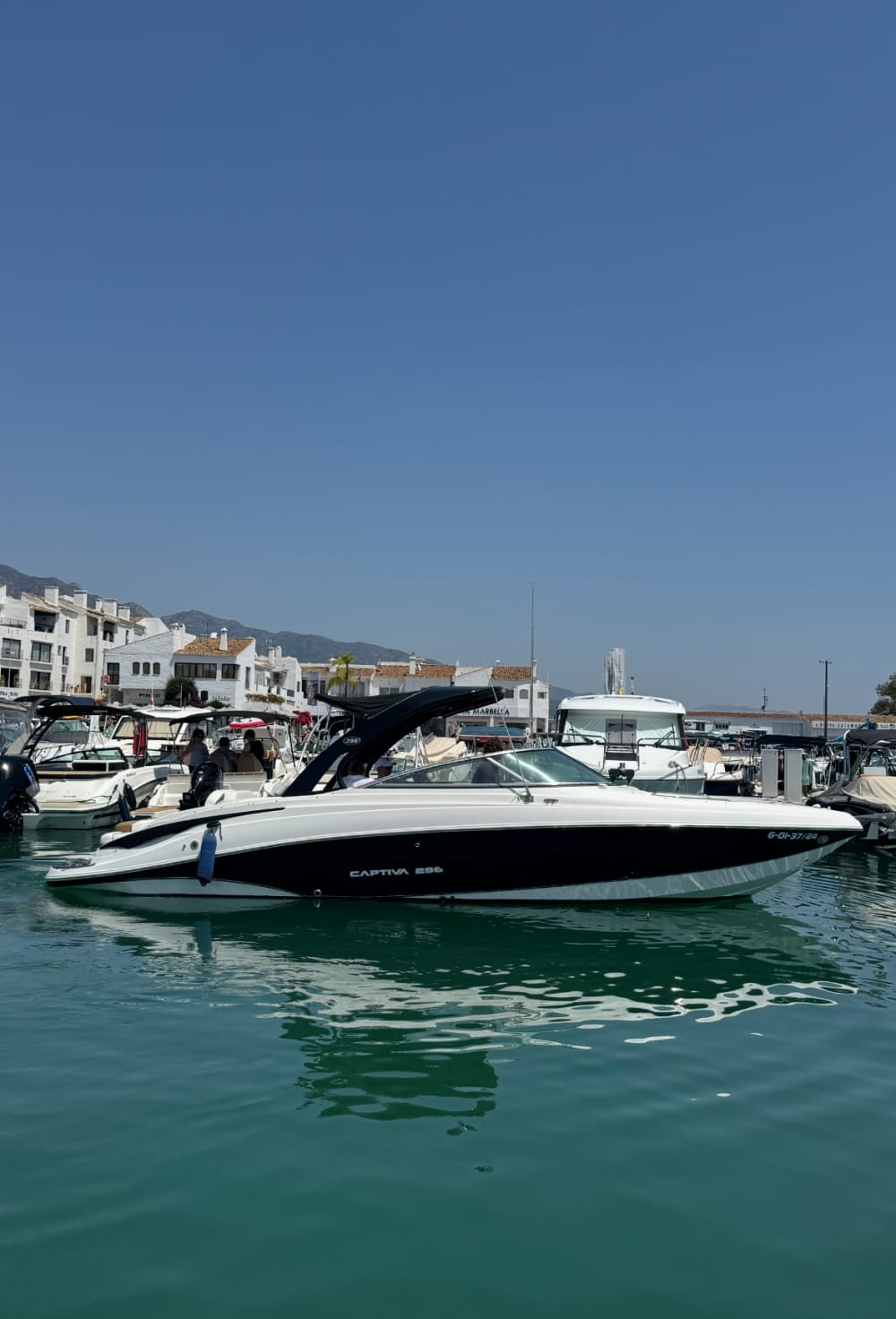 Quête des dauphins et charme côtier : croisière de 4 heures sur la Costa Blanca 2