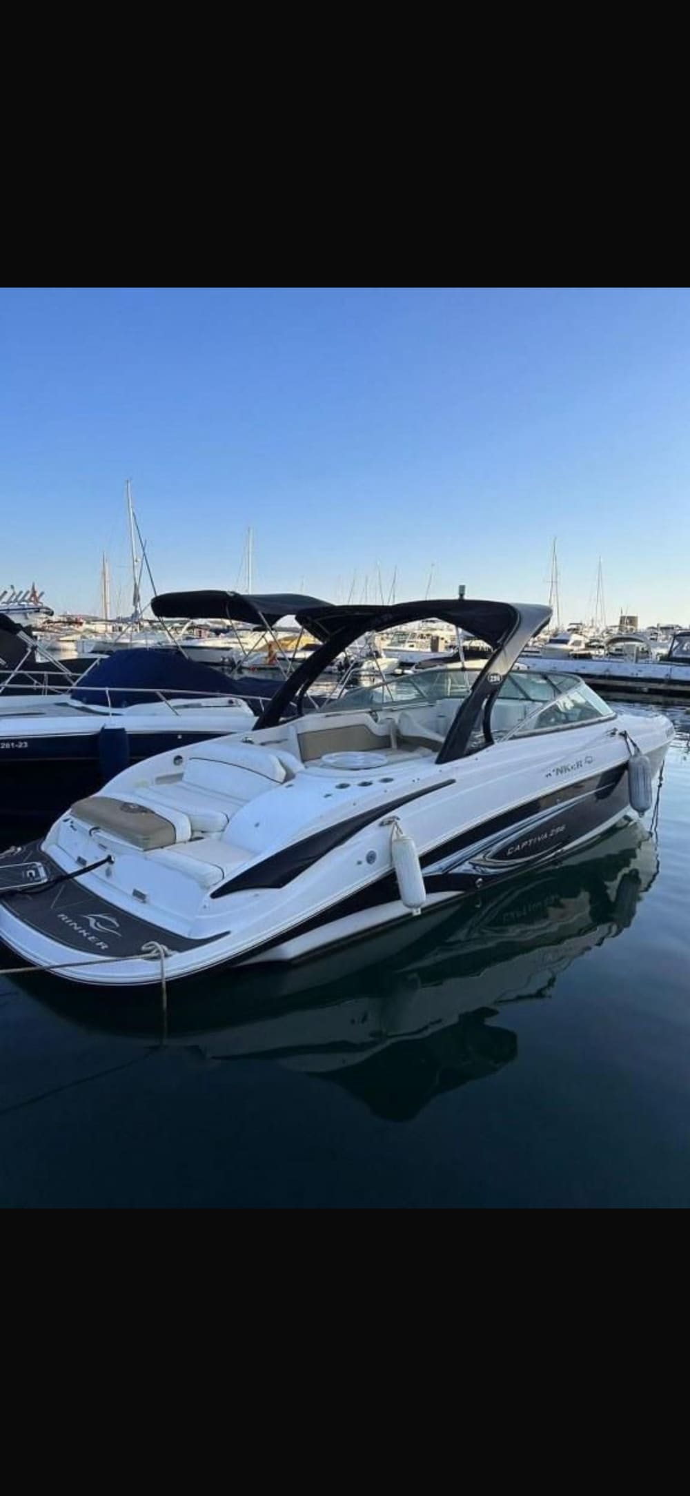 3 heures en mer: explorez la Costa Blanca et observez les dauphins 2