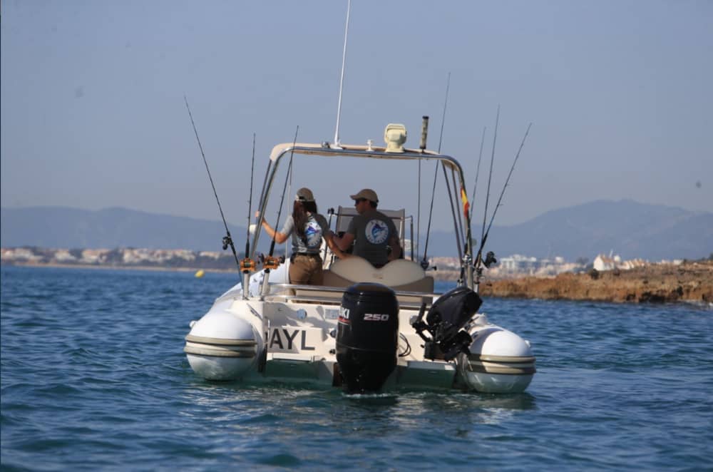 Alcossebre depuis la mer : pêche sportive en 3 heures
