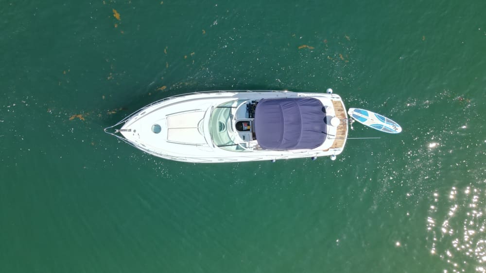 Découvrez la péninsule de Troia en bateau à moteur pendant 8h 6
