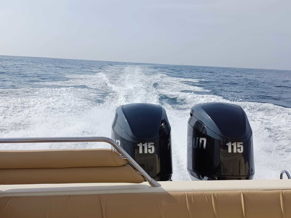 Excursion en bateau à moteur d'une demi-journée à Pasai Donibane 4