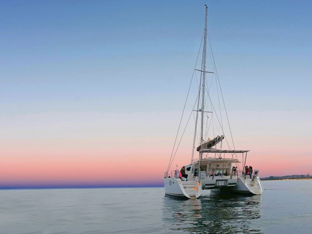 Escapade d'une demi-journée sur un catamaran – Au départ de Setúbal avec une route panoramique vers Arrábida 2