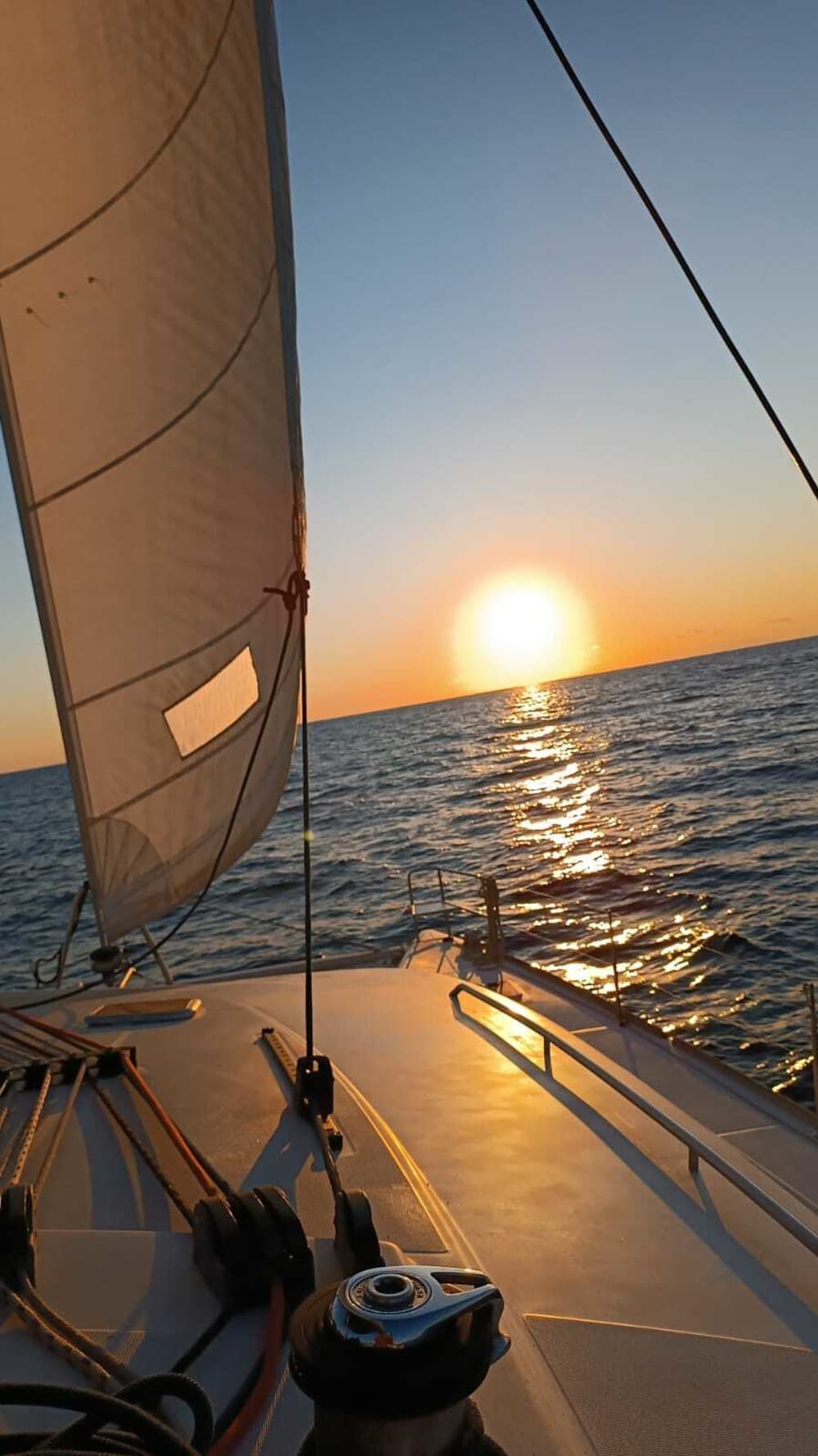 Escapade d'une demi-journée sur un catamaran – Au départ de Setúbal avec une route panoramique vers Arrábida 3