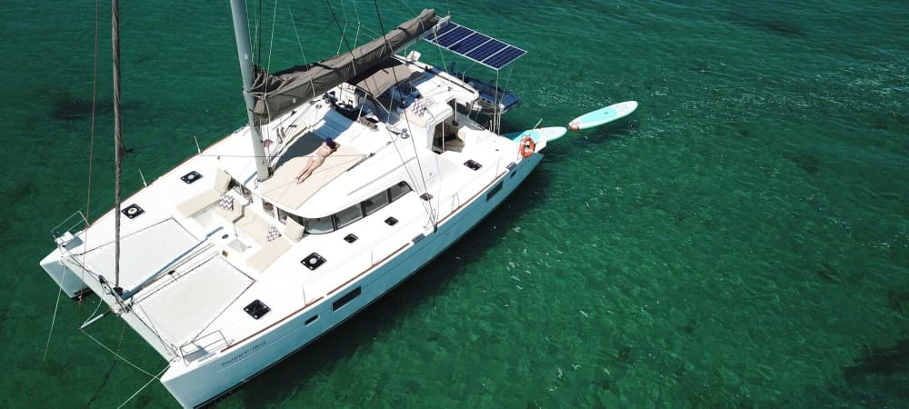 Escapade d'une demi-journée sur un catamaran – Au départ de Setúbal avec une route panoramique vers Arrábida 6