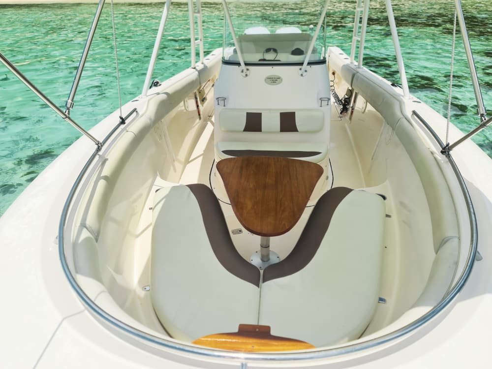Découvrez Victoria lors d'une excursion d'une journée en bateau à moteur. 5