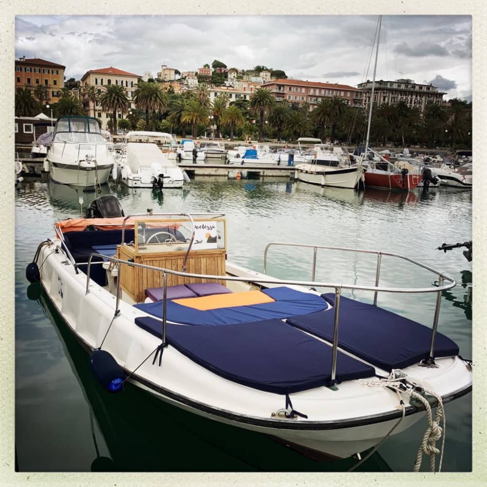 Excursion en bateau à moteur d'une demi-journée ou d'une journée complète à La Spezia. Histoires et légendes du Golfe. Circuit personnalisable. 4