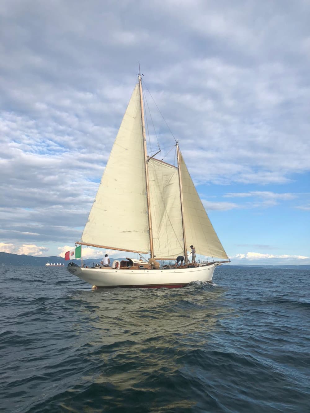 Découvrez Trieste lors d'une excursion en voilier d'une journée. 6