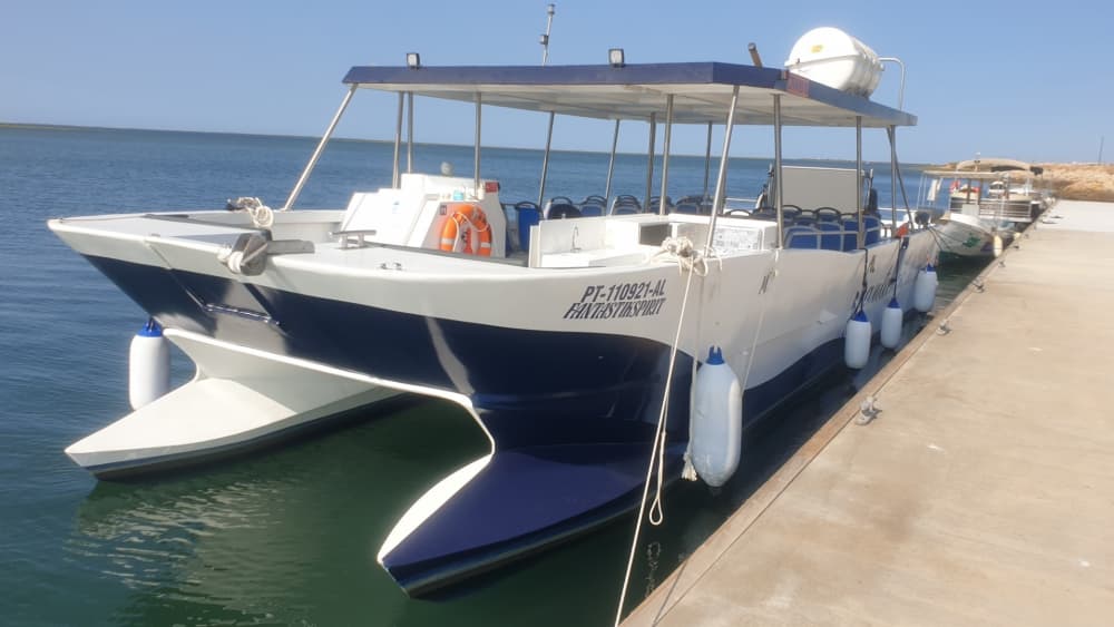 Catamaran Ria Formosa d'une capacité de 28 personnes. 6