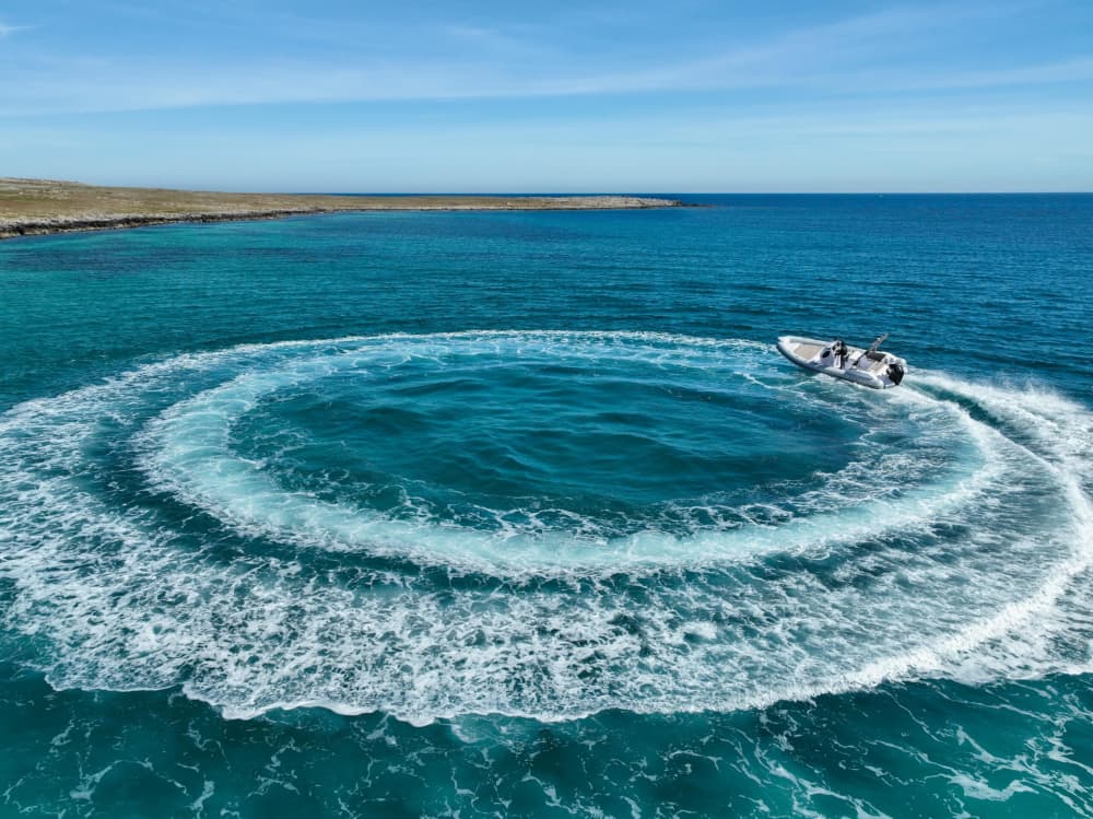 Explorer l’Algarve Autrement – 3h de Pur Bonheur en Mer 2