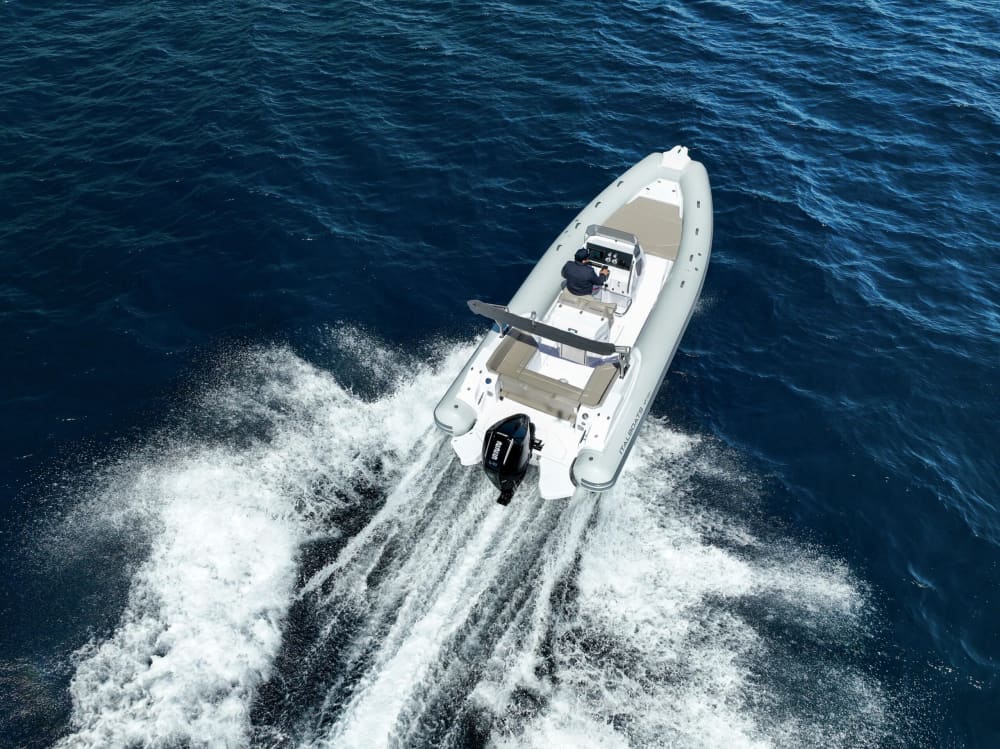 Explorer l’Algarve Autrement – 3h de Pur Bonheur en Mer 5