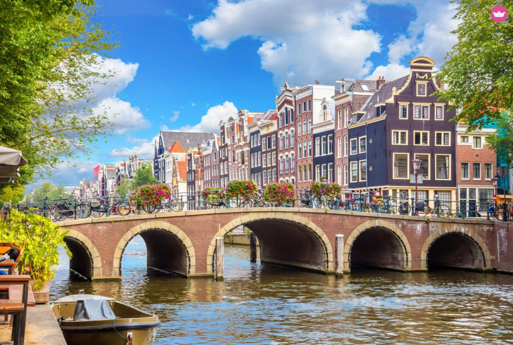 Excursion authentique de 3 heures en bateau à Amsterdam – Croisière d'une demi-journée avec guide local 6