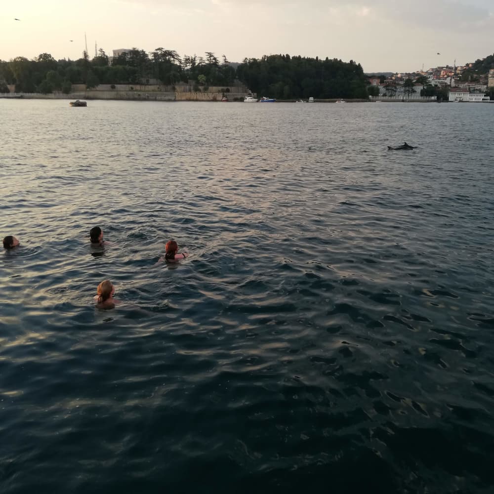 Excursion privée de natation avec rafraîchissements 5