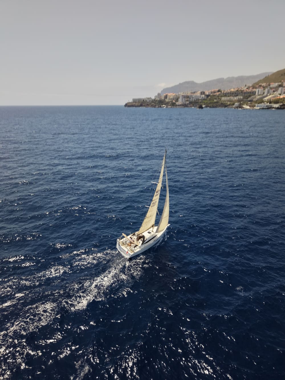 Croisière à bord du Sun Odyssey 349-2018 - Journée complète - Demi-journée - Coucher de soleil - Desertas - Porto Santo 2