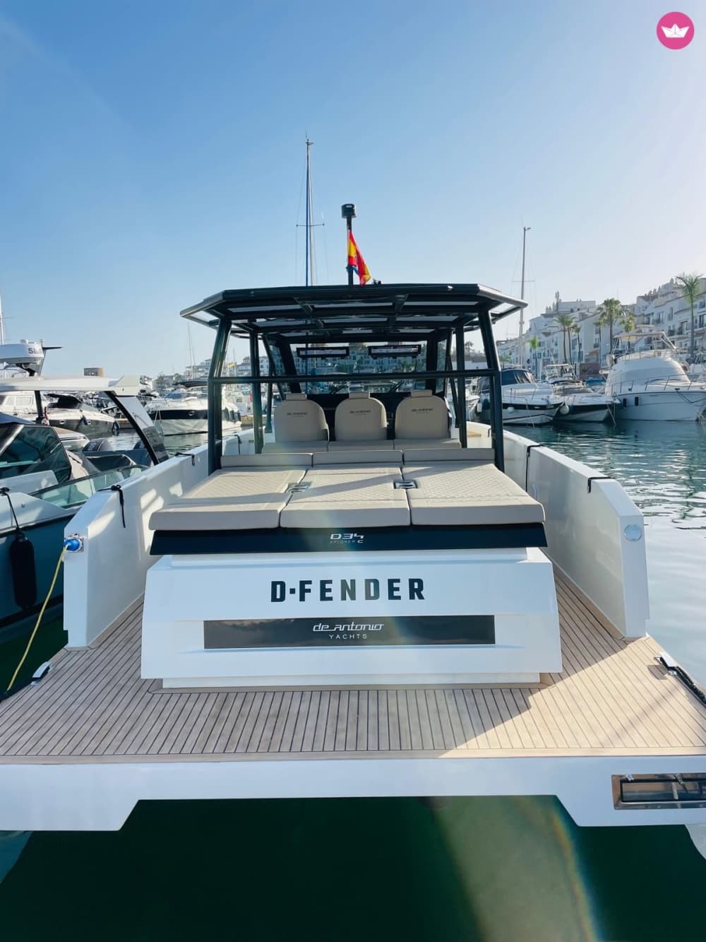 Naviguez avec les dauphins et les baleines à Marbella: nagez ou faites du paddle avec eux. 6