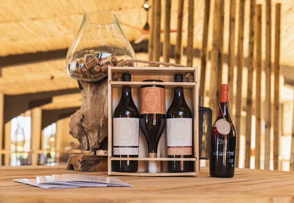 Excursion en bateau de 4,5 heures et dégustation de vins au domaine viticole ARVAD 3