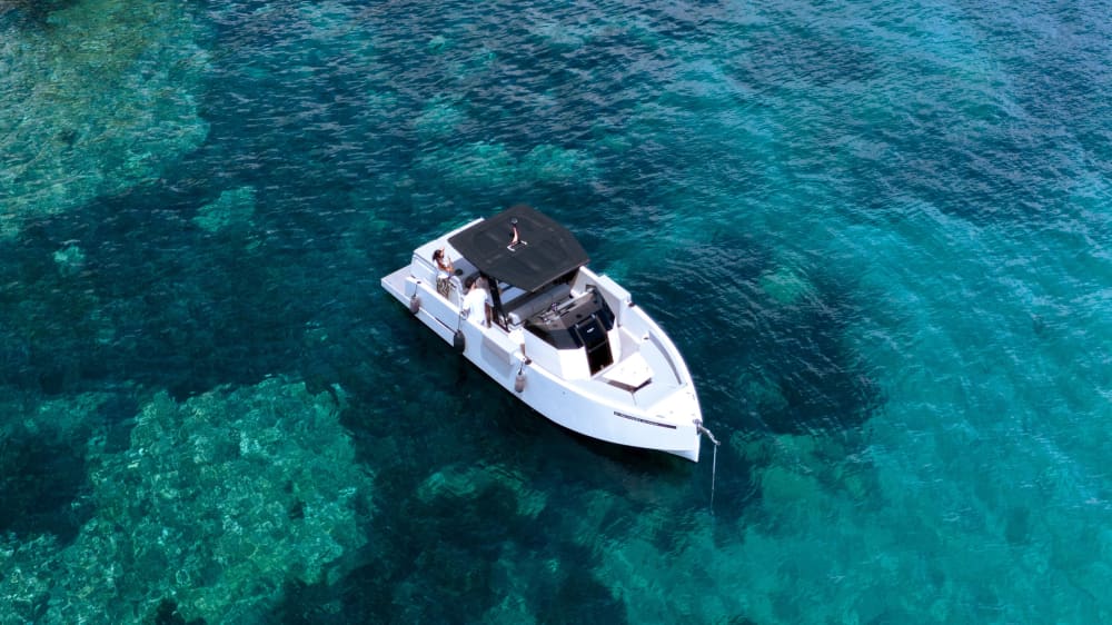 Profitez d'une excursion de 8 heures en bateau à moteur pour explorer Palma de Majorque.