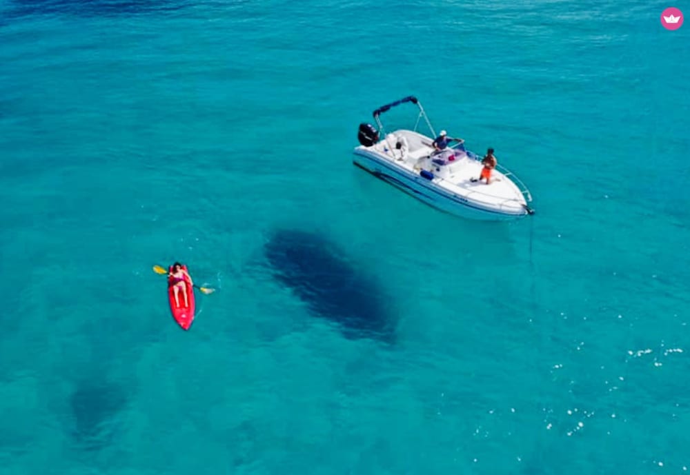 Paradis des îles: excursion quotidienne en bateau au départ d'Olbia 6