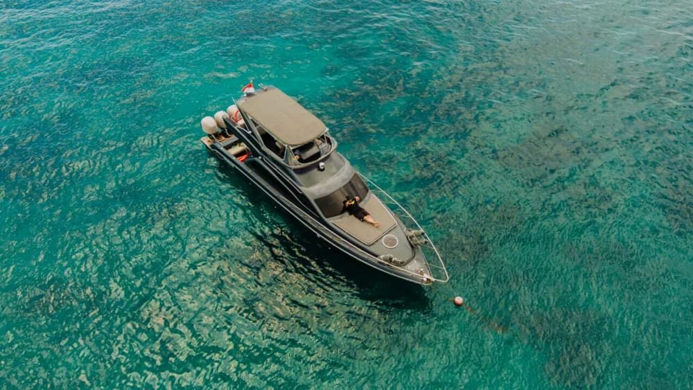 Découvrez Bali lors d'une excursion d'une journée en bateau à moteur. 2