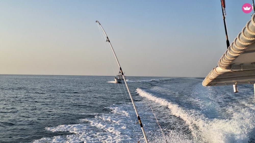 Deux heures en mer : promenade panoramique en bateau depuis la marina d'Al Hamra