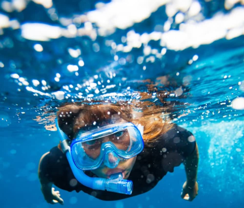 Naviguez avec style: un voyage d'une journée complète dans les Caraïbes 4