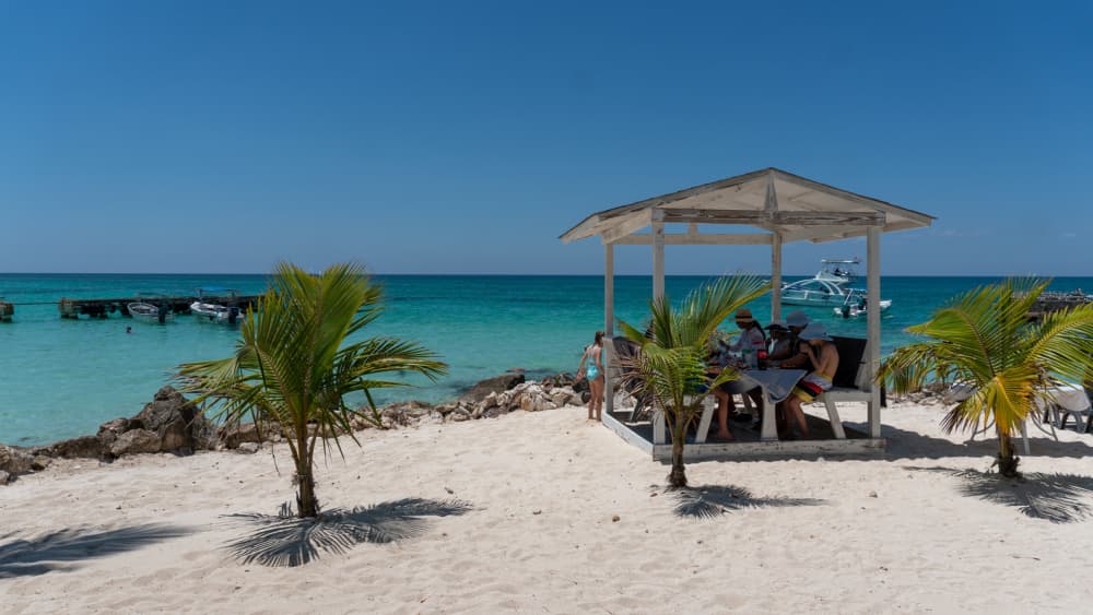 L'odyssée d'une journée à Bavaro : explorez, apprenez et détendez-vous sur la mer des Caraïbes 3