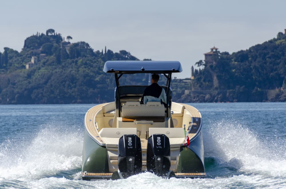 Croisière de luxe d'une demi-journée : Portofino, San Fruttuoso et Punta Chiappa
