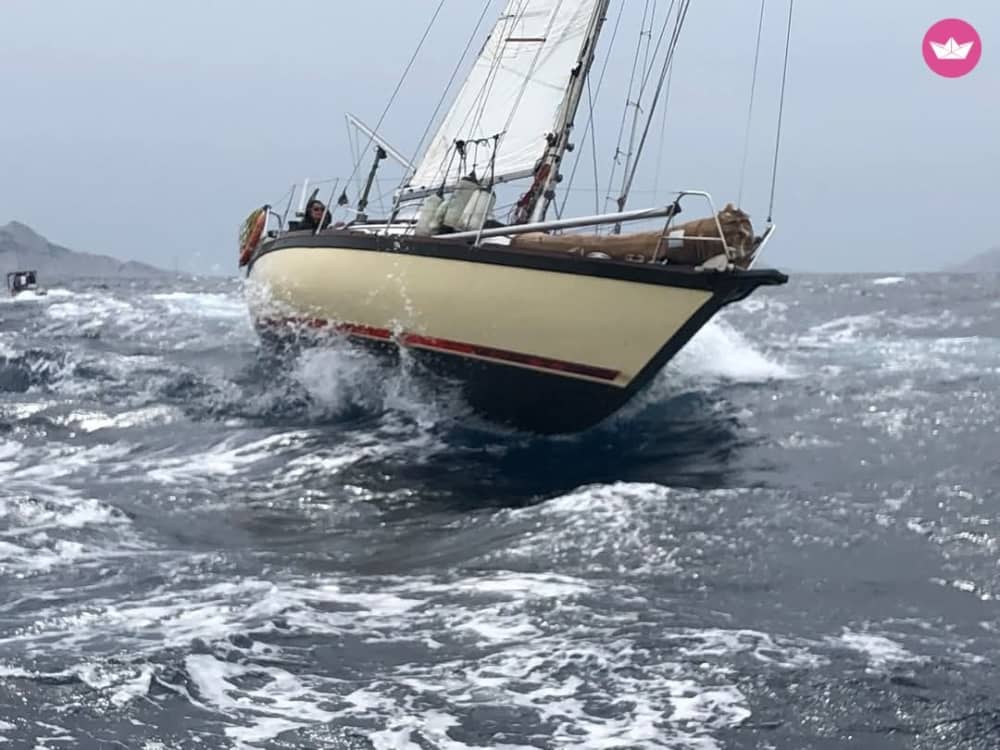 Voile & Coucher de Soleil: Évasion dorée au large d'Ajoccio 3