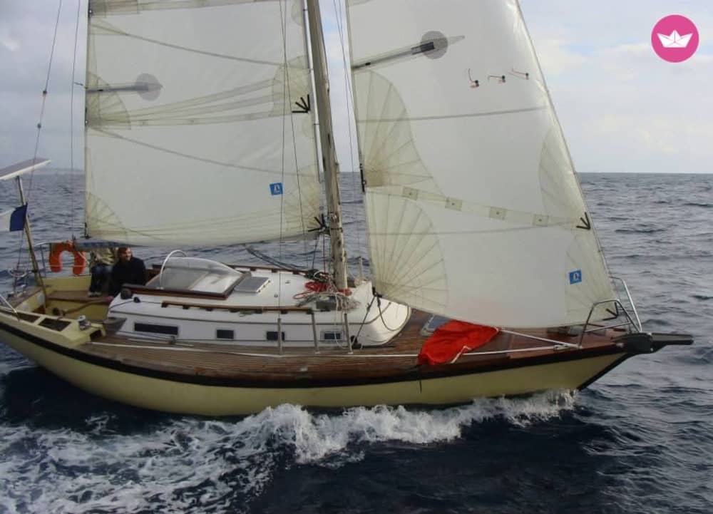 Voile & Coucher de Soleil: Évasion dorée au large d'Ajoccio 4