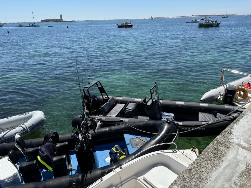 Découvrez La Forêt-Fouesnant: une journée ensoleillée en bateau à moteur 3