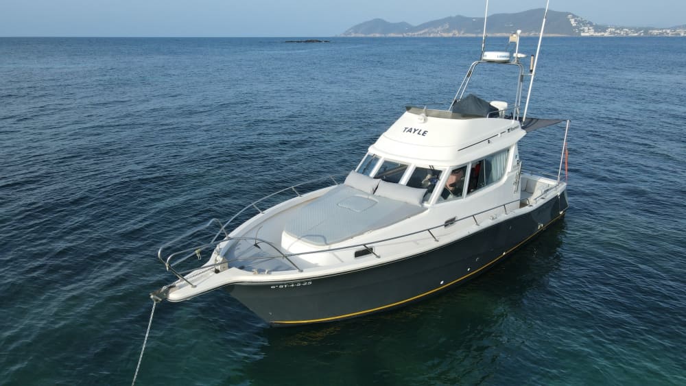 Découvrez les rivages d'Ibiza: une excursion d'une journée complète à bord d'un bateau à moteur