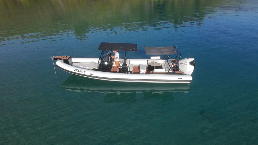 Escapade Adriatique: Excursion en bateau d'une demi-journée où vous le souhaitez 5