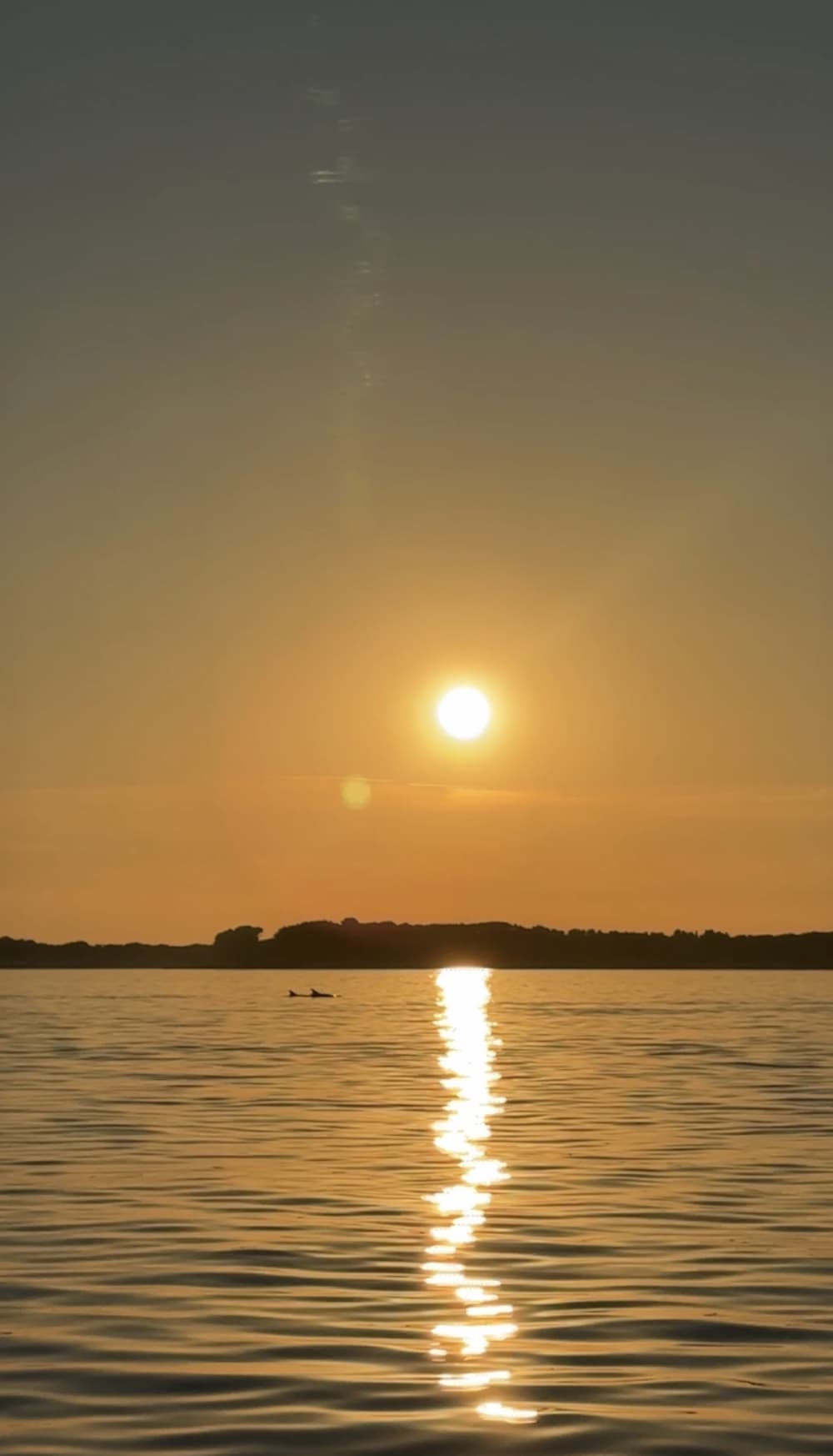 EXCURSION PRIVÉE EN BATEAU POUR OBSERVER LES DAUPHINS AU COUCHER DU SOLEIL AU DÉPART DE PULA 3