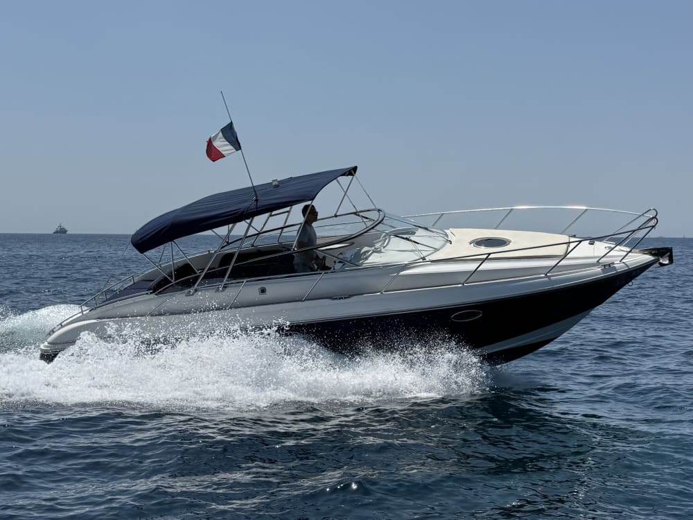 Découvrez Antibes lors d'une excursion d'une journée en bateau à moteur.